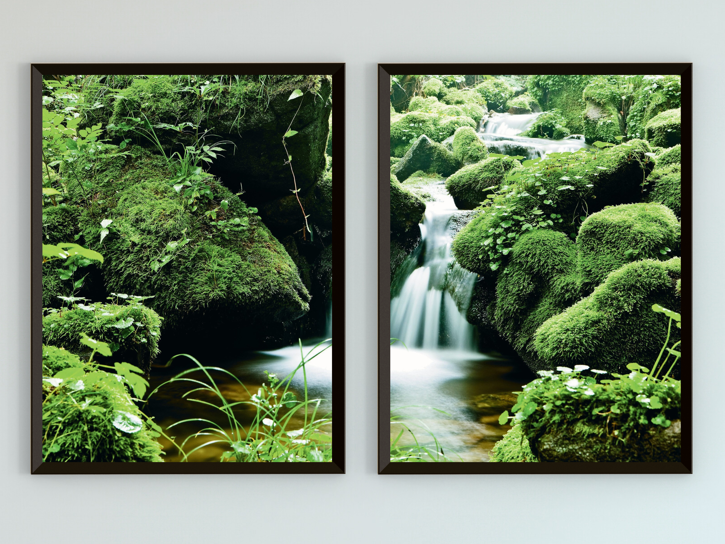 mossy Stream-Split-Photography