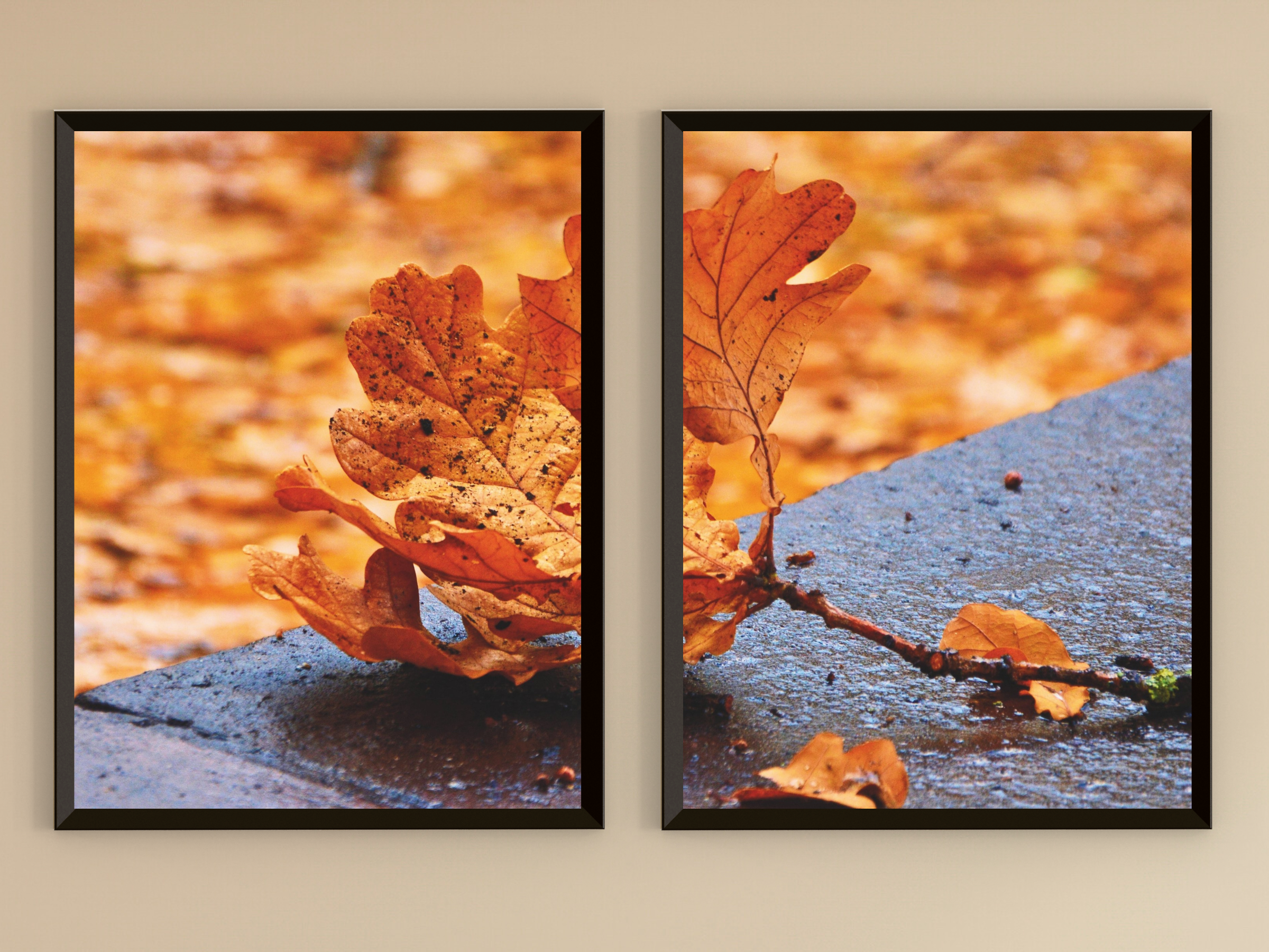 Herbst-Eichenblatt-Split-Fotografie