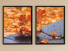 Autumn-Oak Leaf-Split-Photography