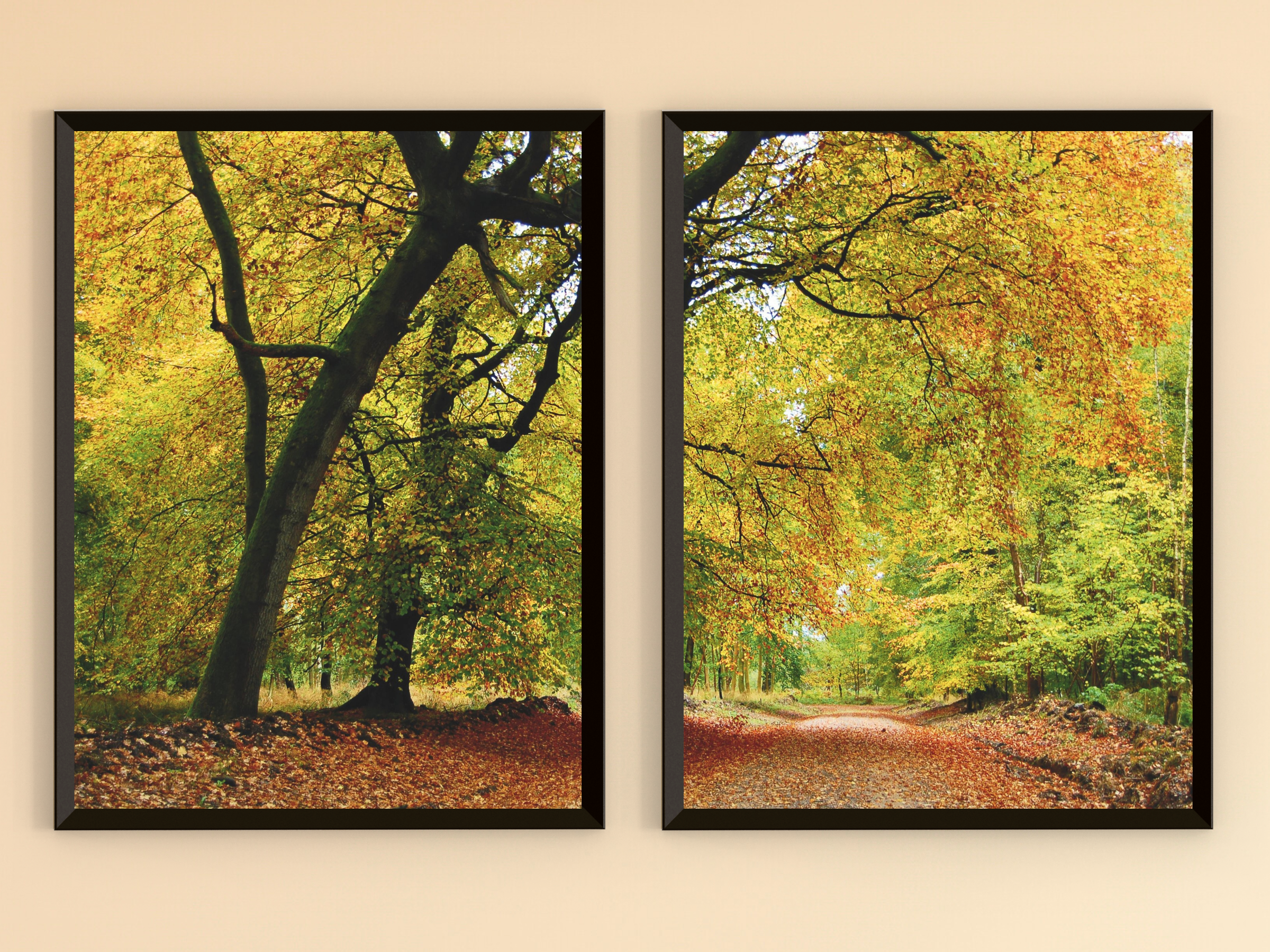 Herbstwald-Split-Fotografie