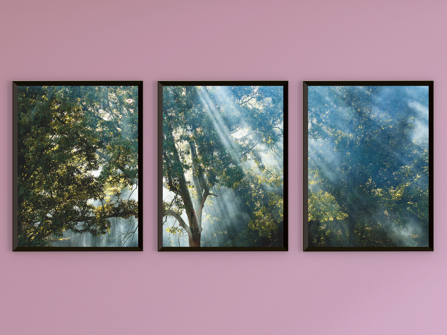 Wald und Sonnenstrahlen-Triptychon-Fotografie