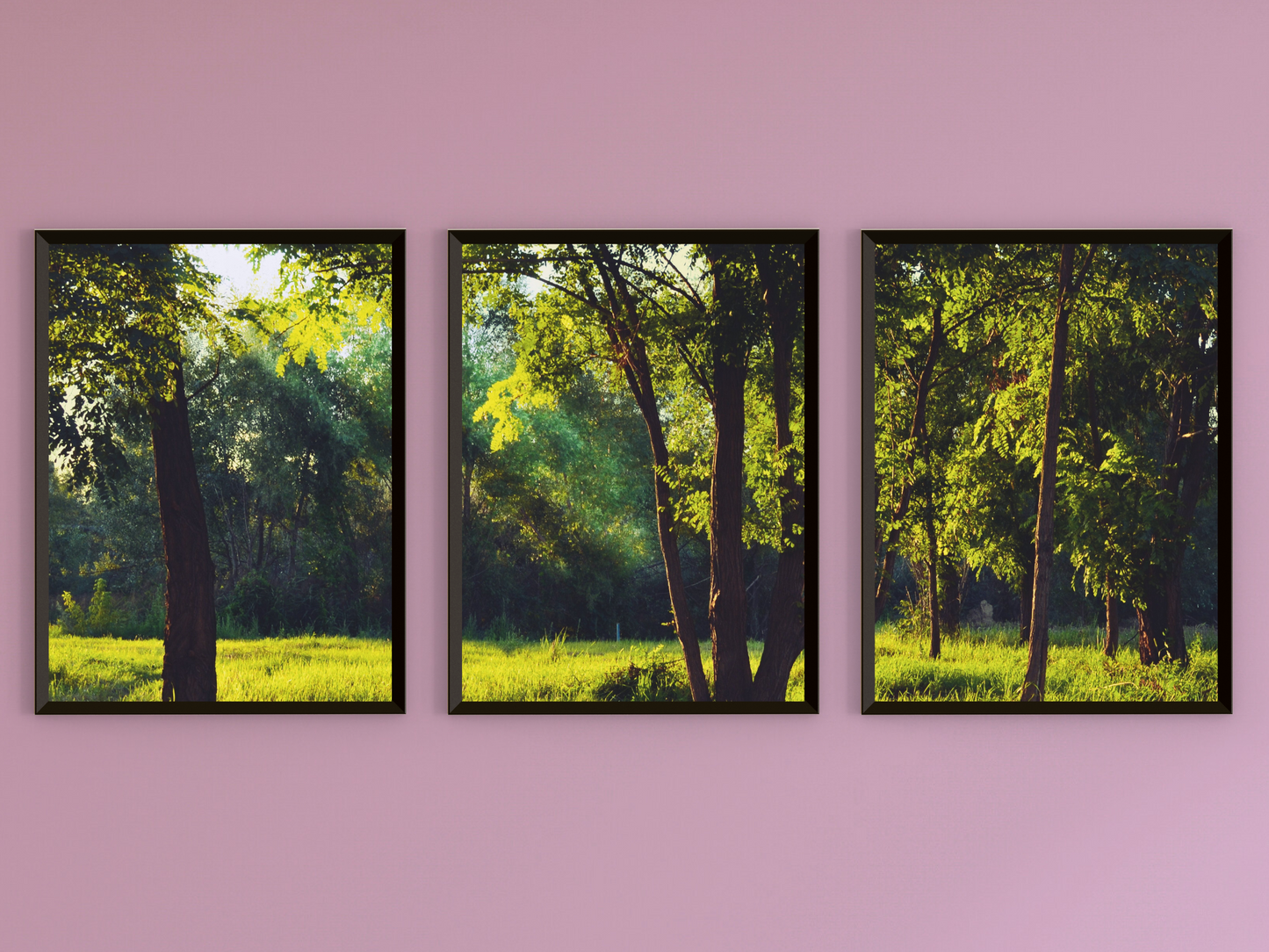 Waldlichtung-Triptychon-Fotografie