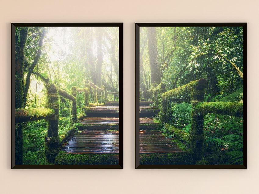 Forest Stair-Split-Photography