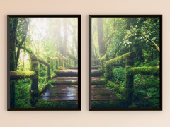 Forest Stair-Split-Photography