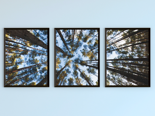 Blick in den Himmel-Triptychon-Fotografie