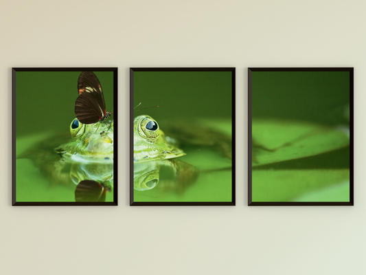 Frosch mit Schmetterling-Triptychon-Fotografie