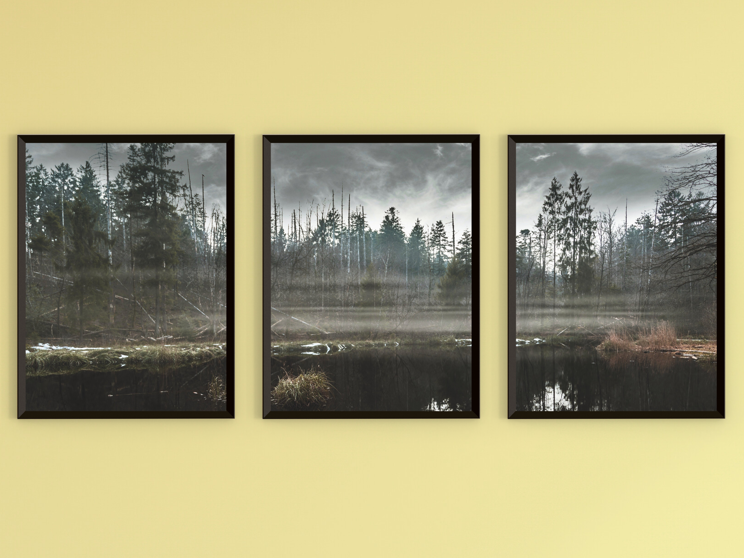 Fog over Forest moor-Triptych-Photography
