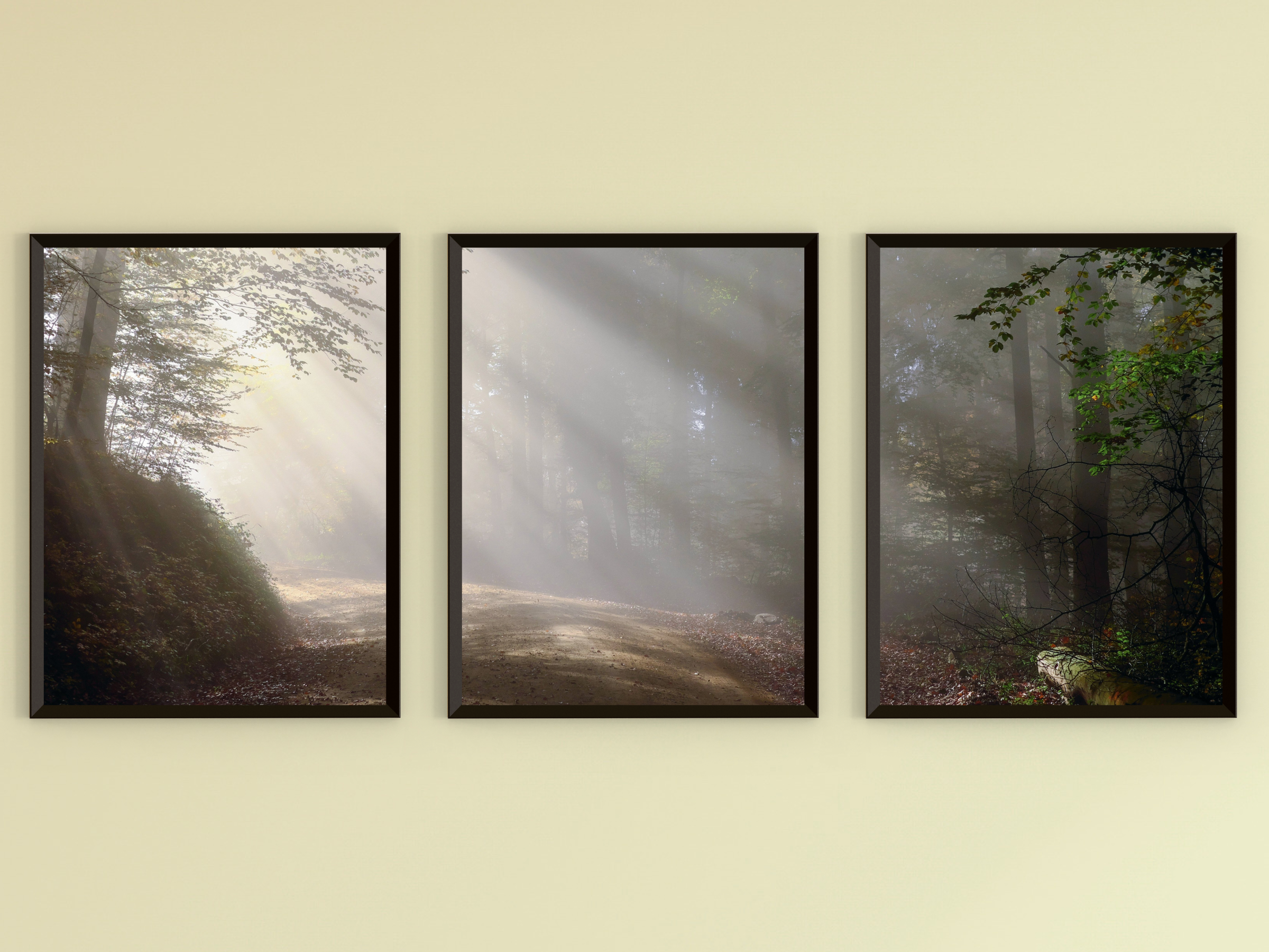 Licht im Wald-Triptychon-Fotografie