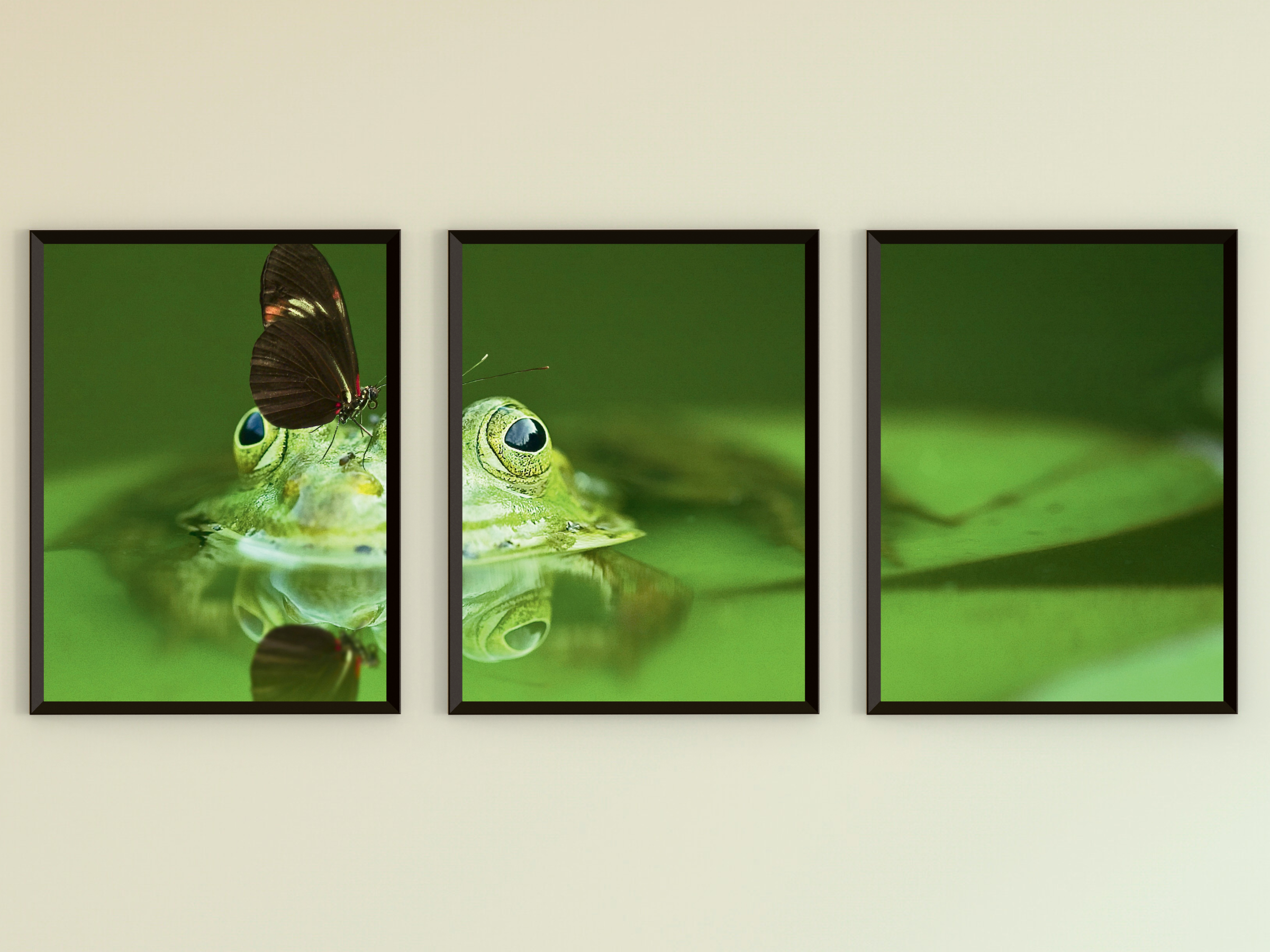 Frosch mit Schmetterling-Triptychon-Fotografie