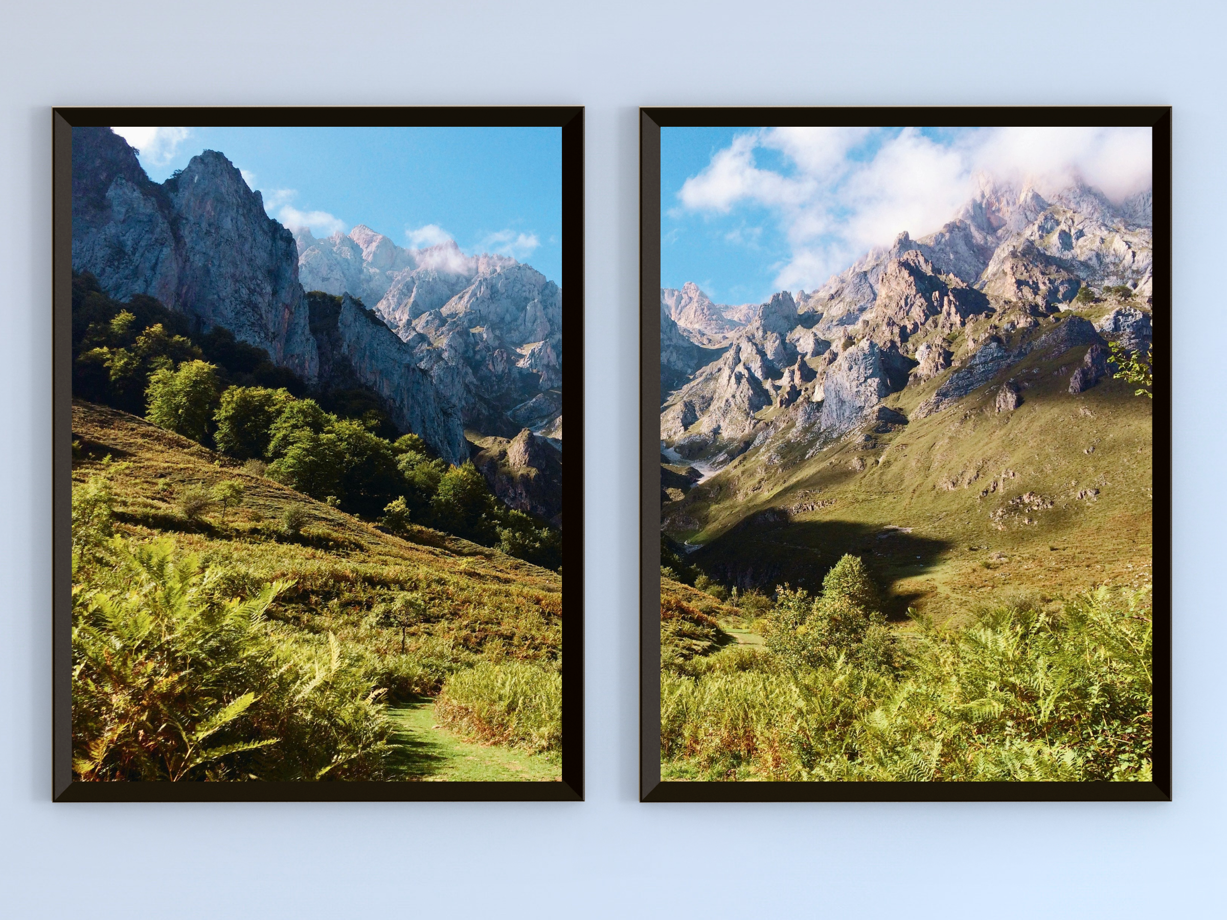 Zwischen Farn und Gipfeln-Split-Fotografie