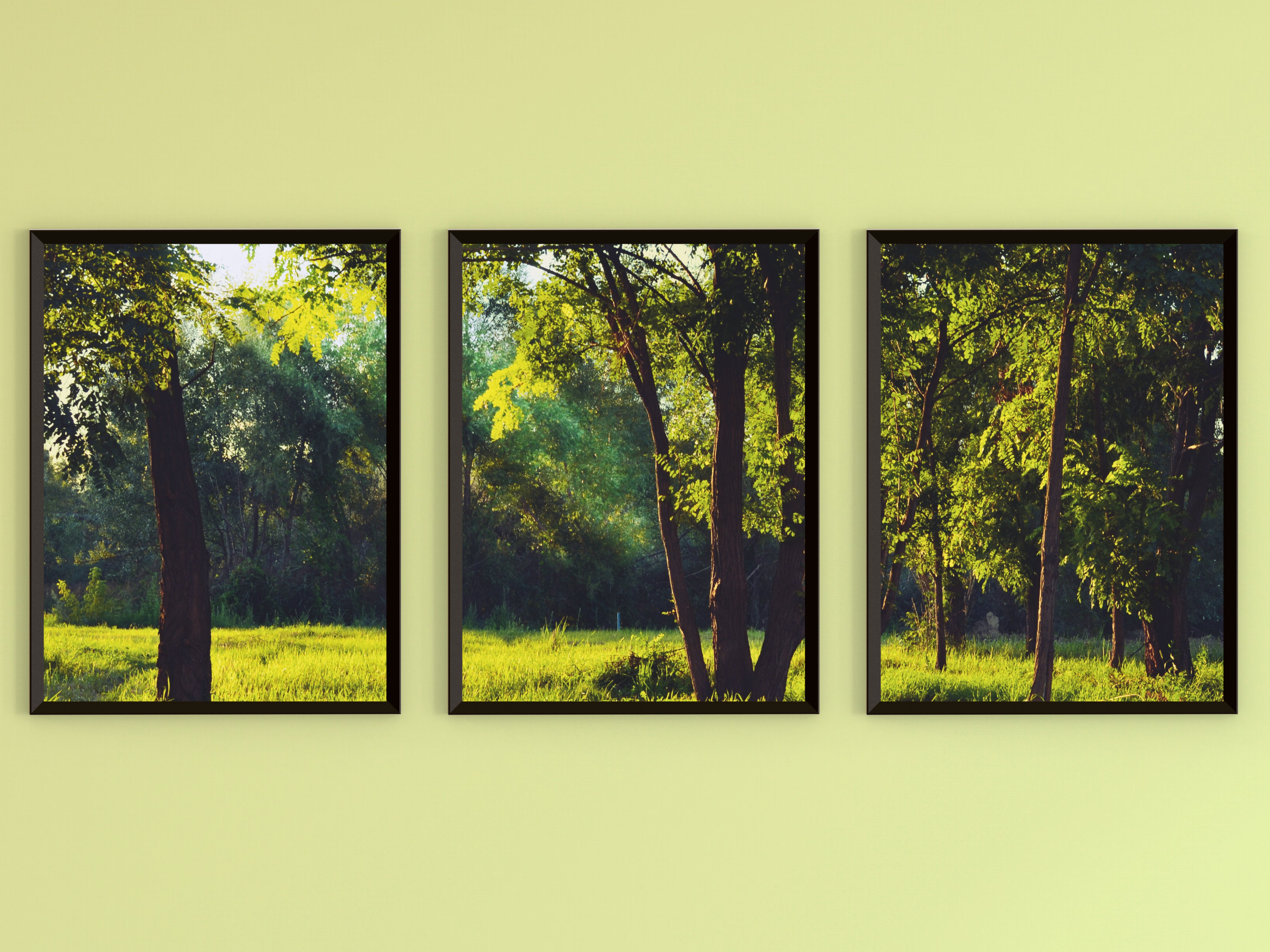 Waldlichtung-Triptychon-Fotografie