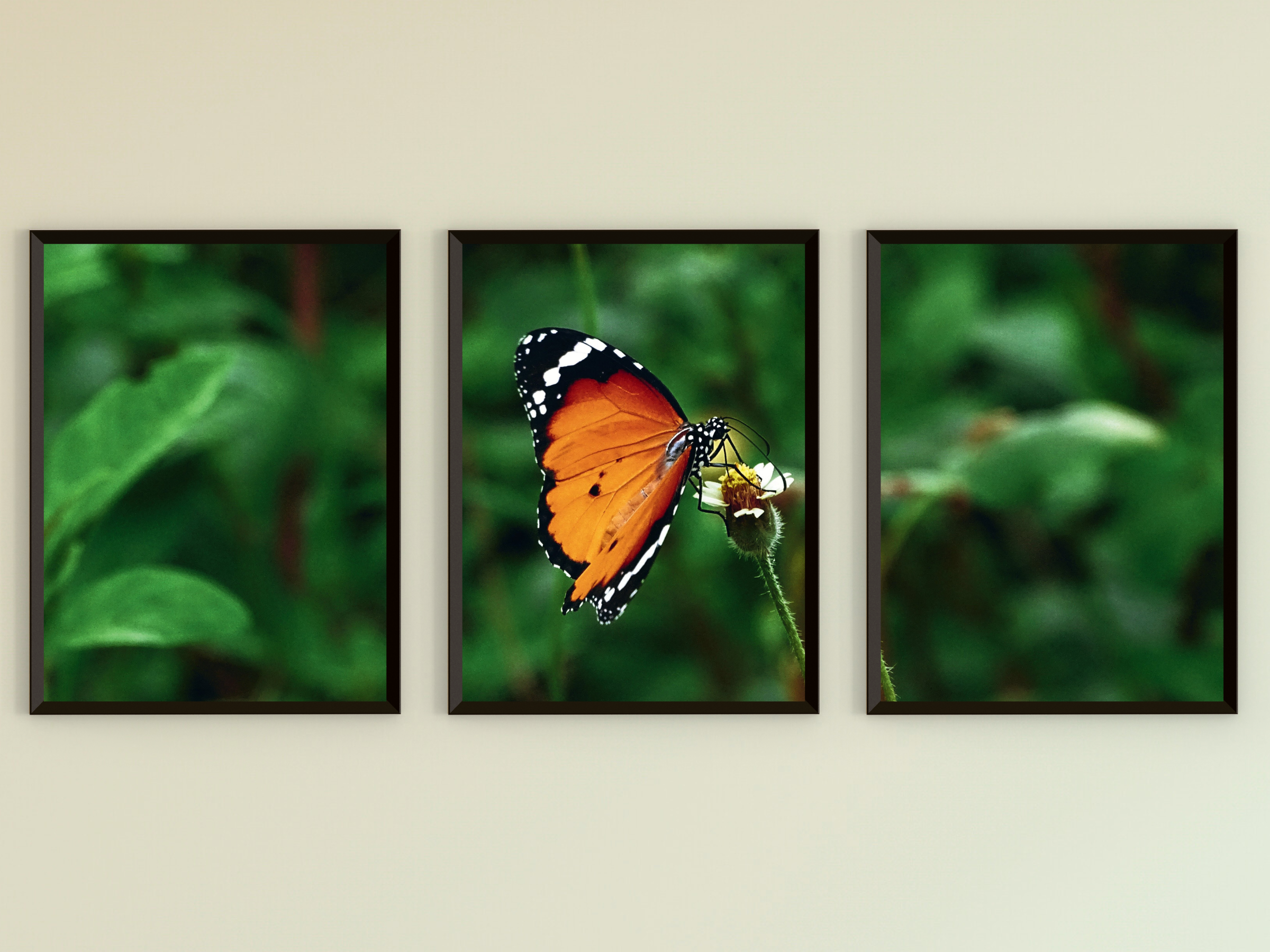 photographie en triptyque de papillons sur fleurs