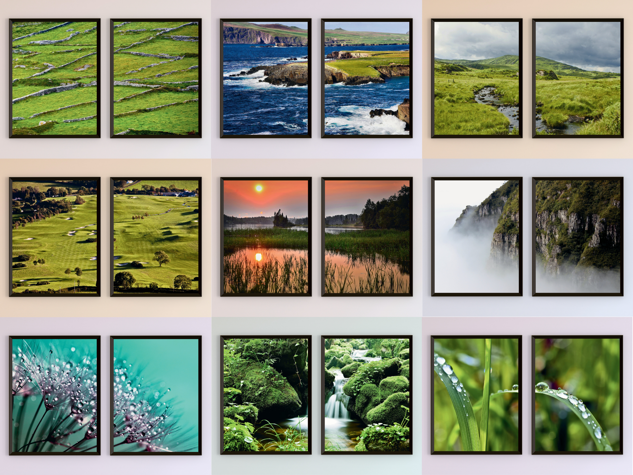 Photographie séparée des prairies et de la côte (pack)