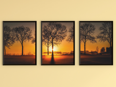 Dawn over the Field-Triptych-Photography