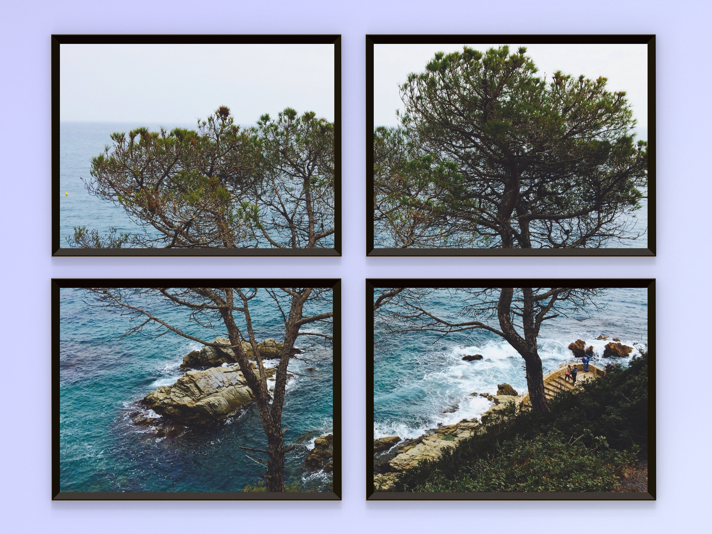 Coastal View of the Sea-Split-Photography