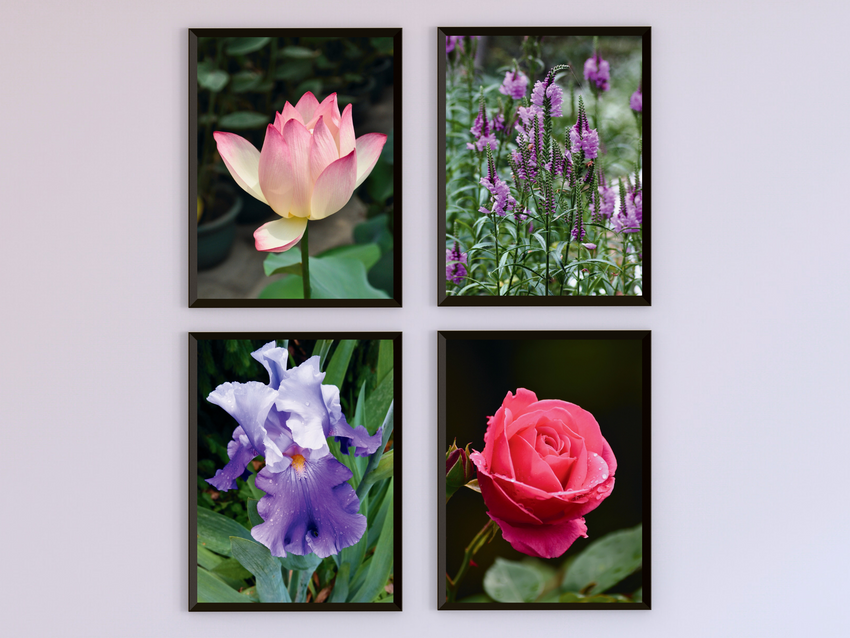 Blumen