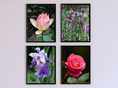 Blumen
