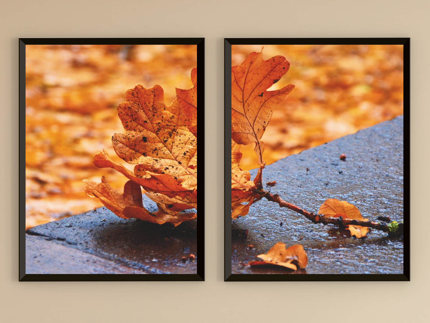 Herbst-Eichenblatt-Split-Fotografie