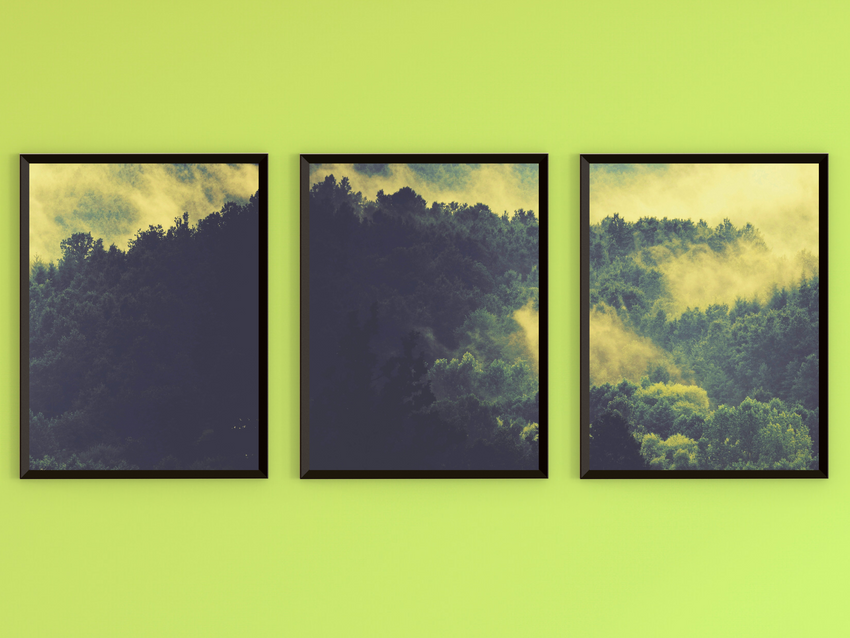 Fog in the Forest-Triptych-Photography