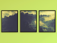 Fog in the Forest-Triptych-Photography