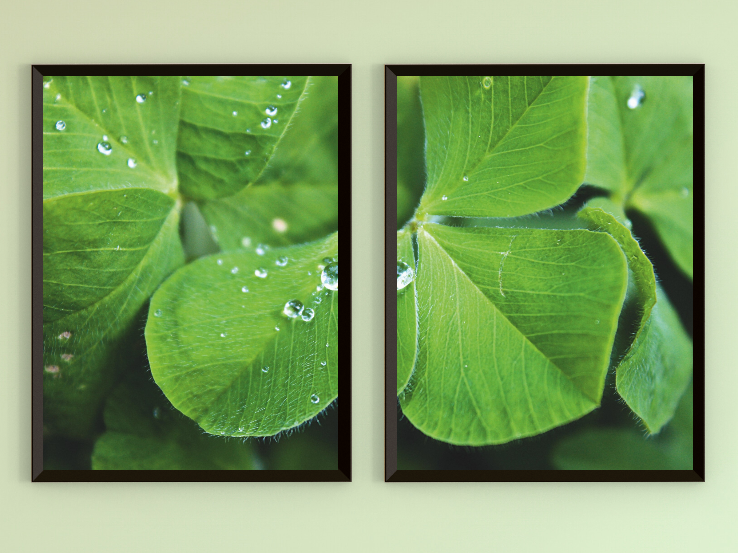 Kleeblatt-Split-Fotografie