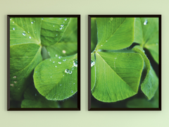 Cloverleaf-Split-Photography