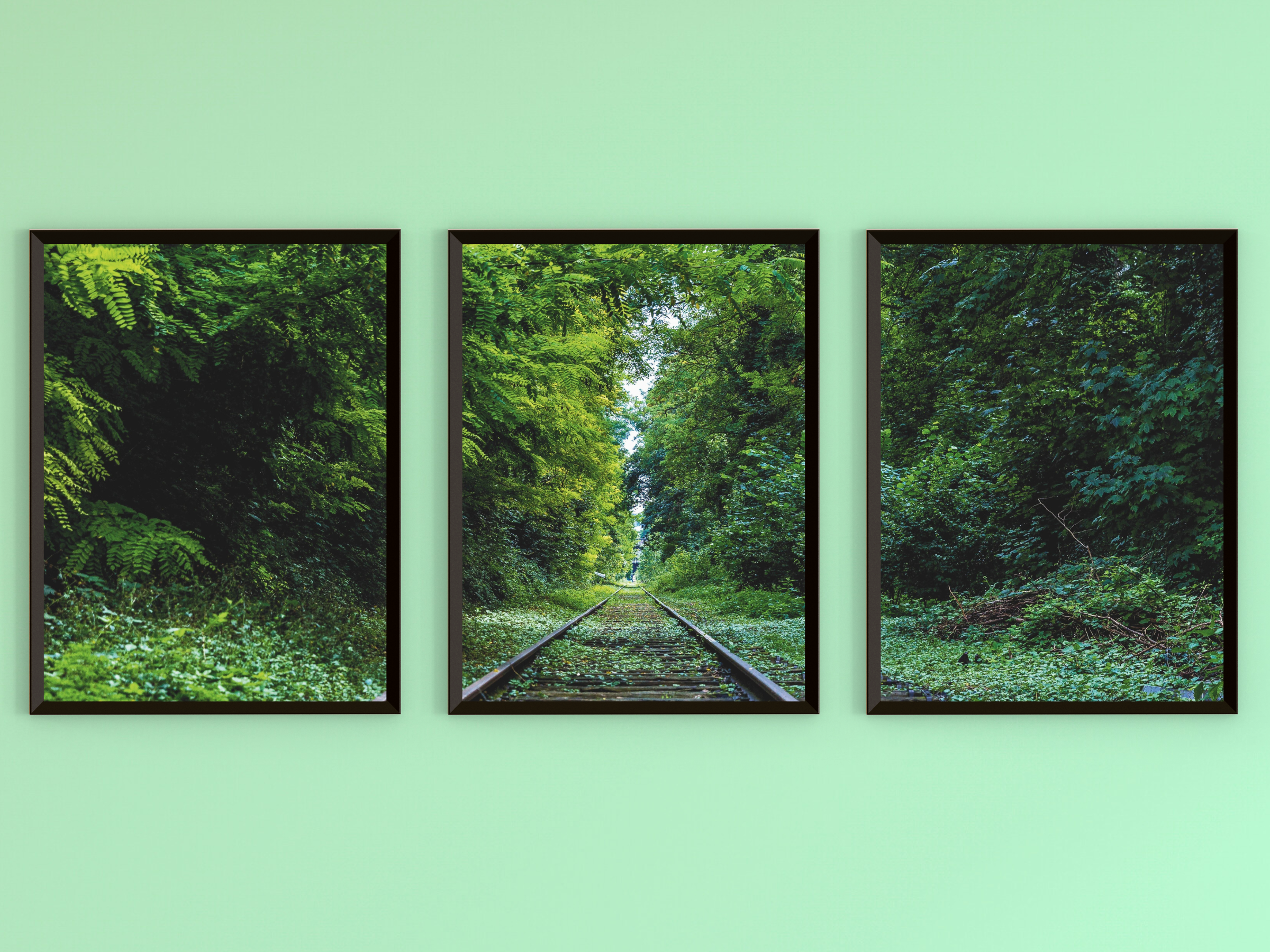 mit dem Zug durch den Wald-Triptychon-Fotografie