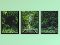 by Train through the Forest-Triptych-Photography
