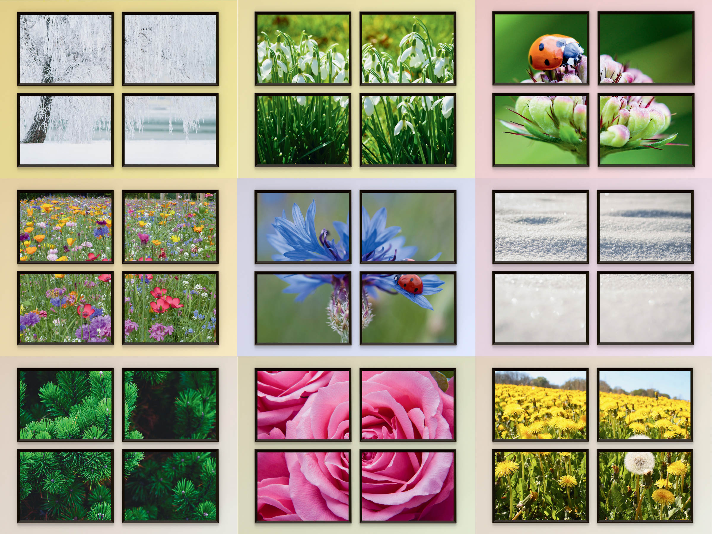 Winter-Flower-Meadow-Split-Photography (Bundle)