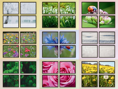 Winter flower meadow split photography (bundle)