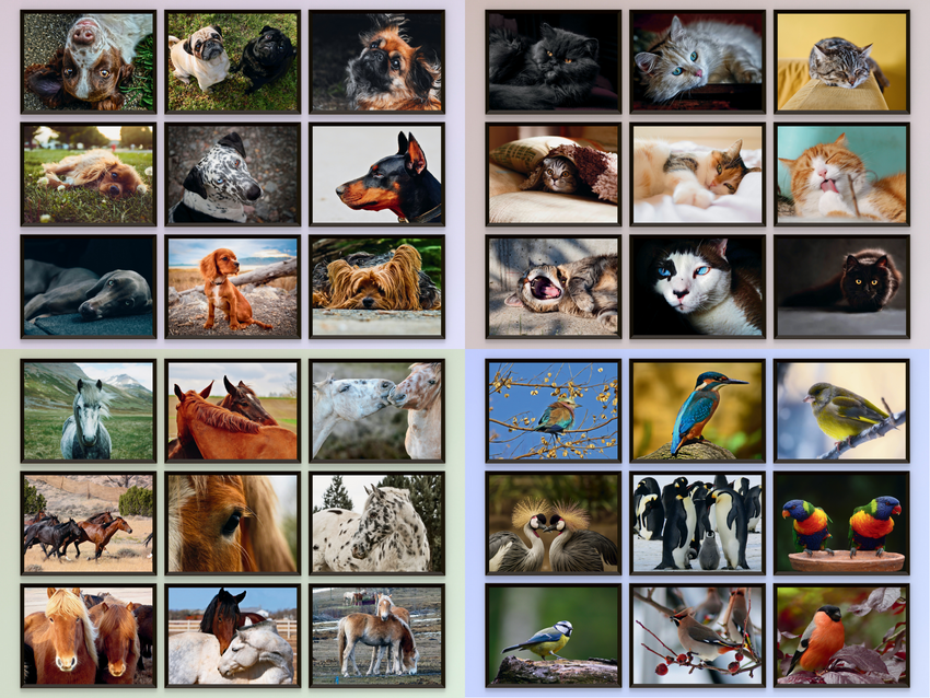 Tiere (Bundle)