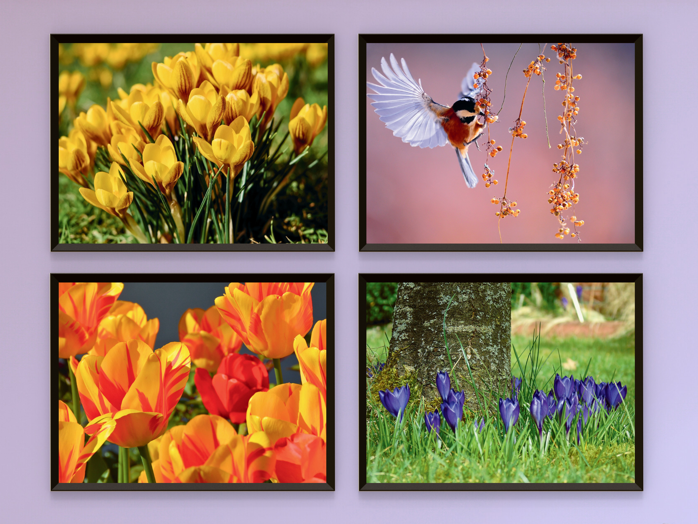 Blüten im Frühling