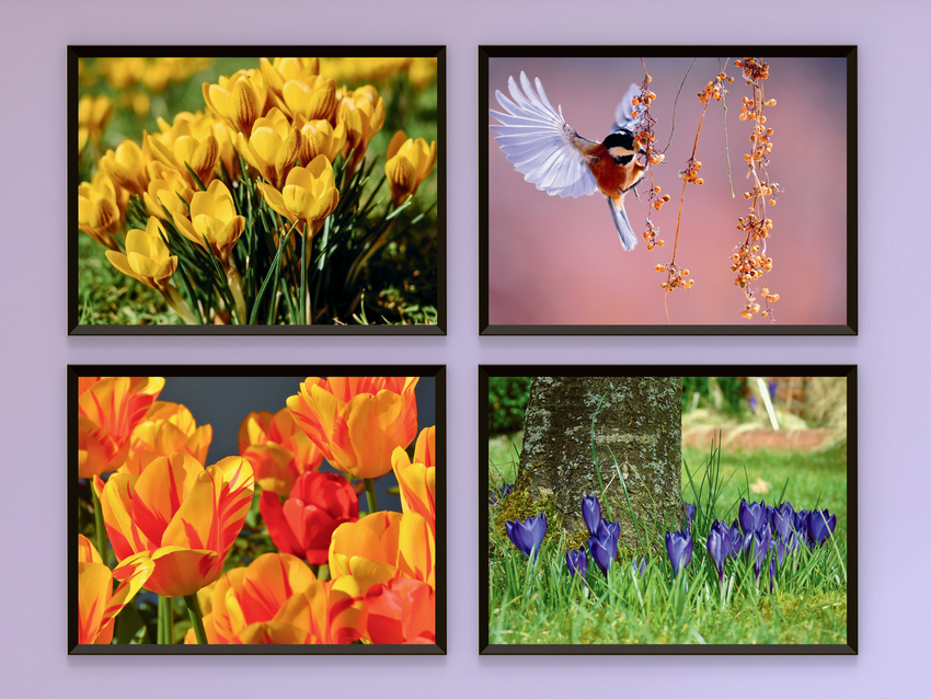 Flowers in Spring