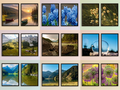 Plants-Mountains-Lakes-Split-Photography (Bundle)