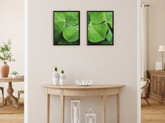 Cloverleaf-Split-Photography