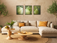 Light Penetrates the Forest-Triptych-Photography