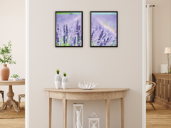 Lavendel-Pusteblume-Berge-Meer-Split-Fotografie (Bundle)