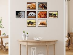 Tierkinder (Bundle)