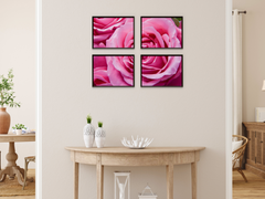 Pink Roses-Split-Photography