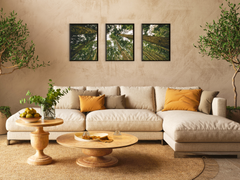 View into the Trees-Triptych-Photography