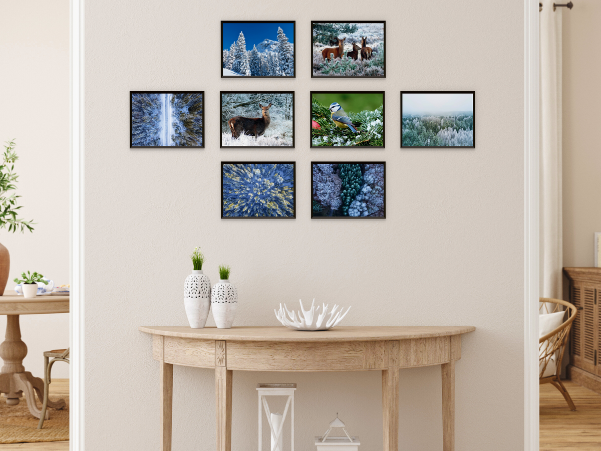 Alpine Naturmotive-Fotografie (Bundle)