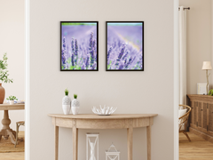 A Field of Lavender-Split-Photography