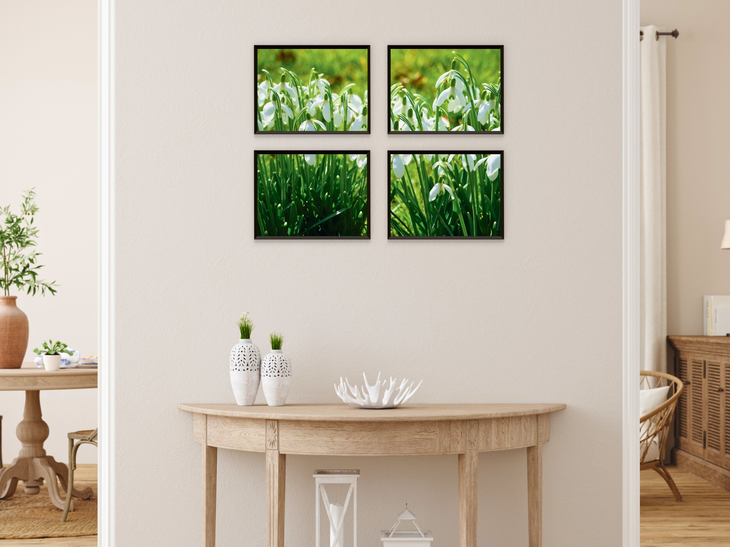 photographie de prairie de perce-neige divisée