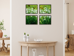 Snowdrop Meadow-Split-Photography