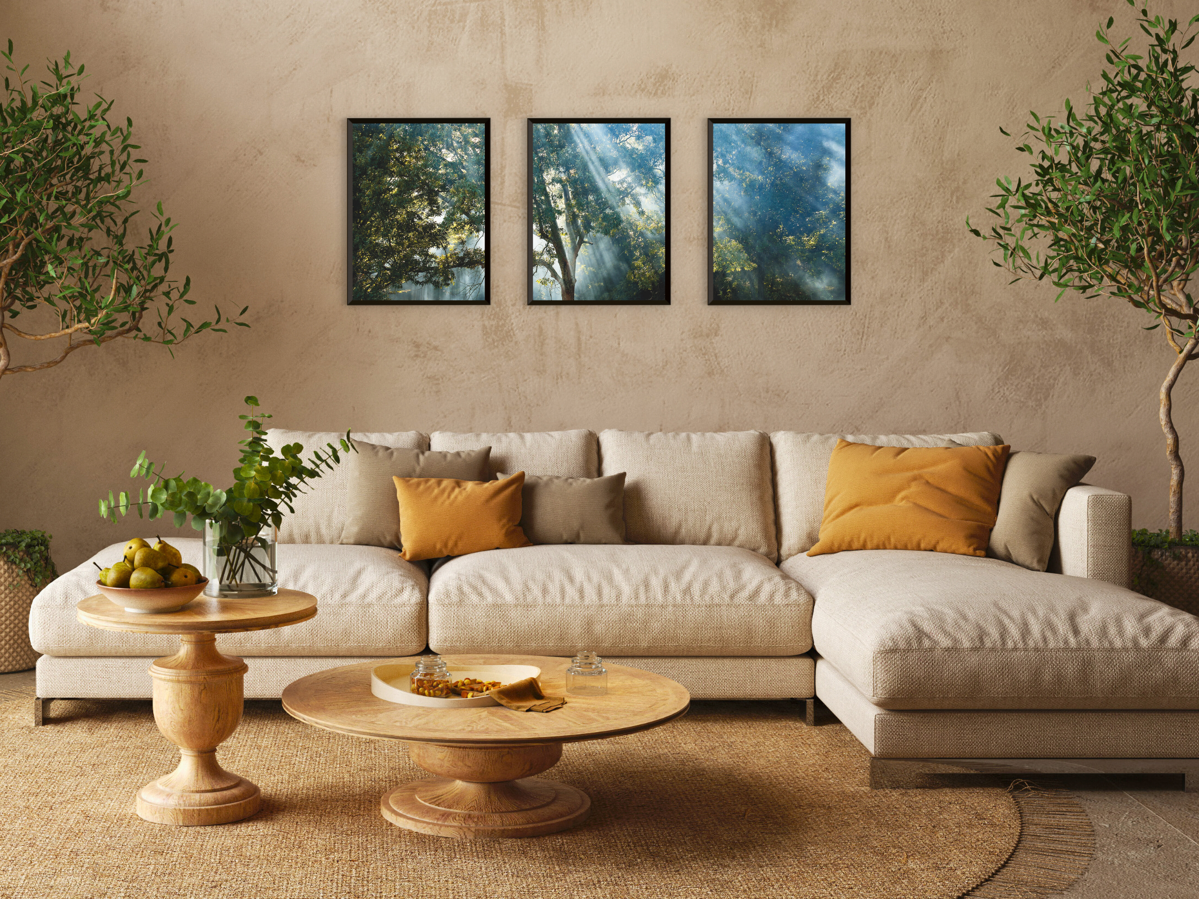 photographie en triptyque de forêt et de rayons de soleil