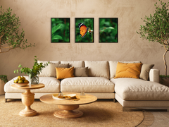 Schmetterling auf Blüte-Triptychon-Fotografie