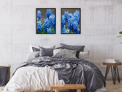 Plants-Mountains-Lakes-Split-Photography (Bundle)