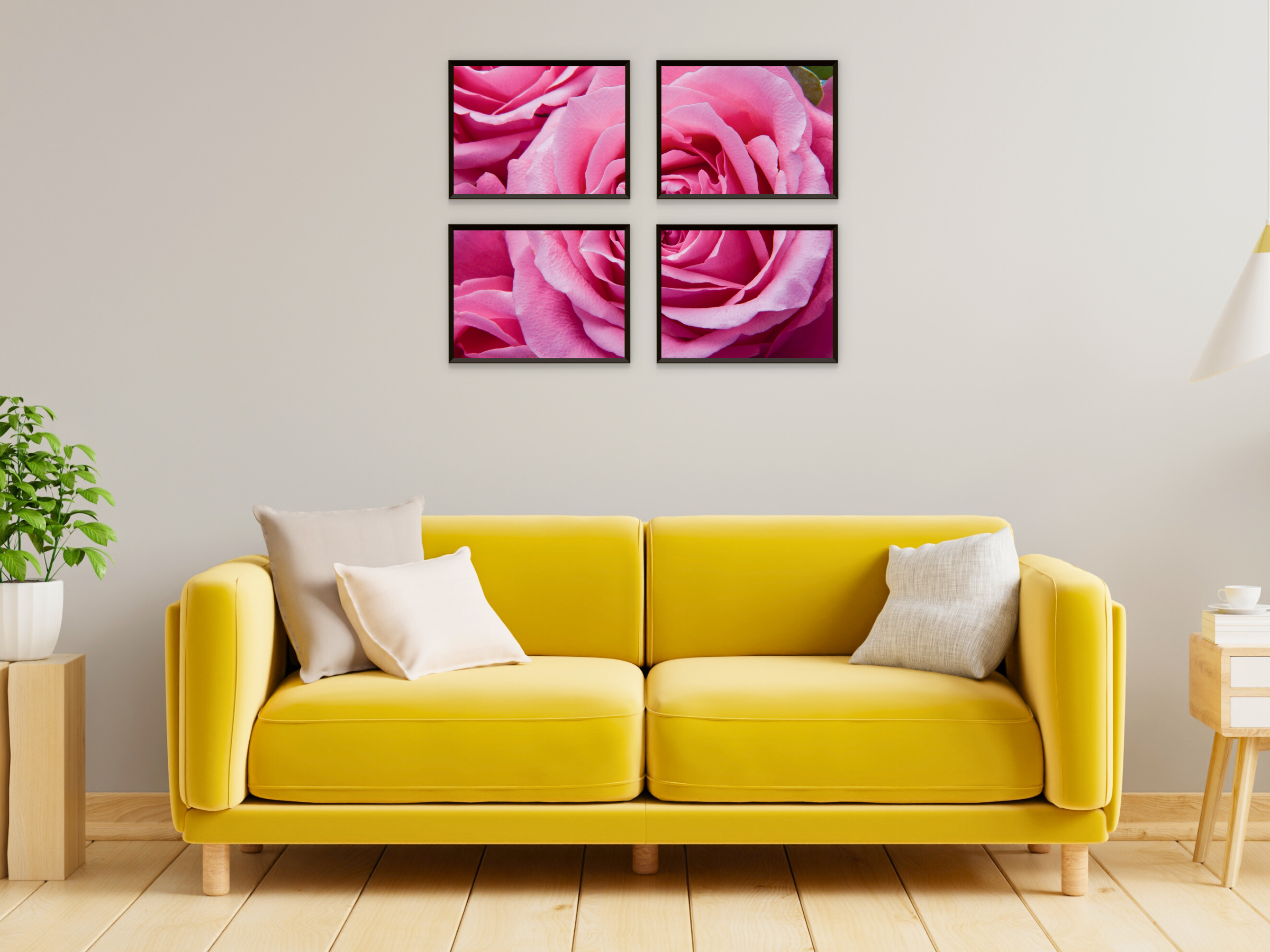 Pink Roses Split Photography