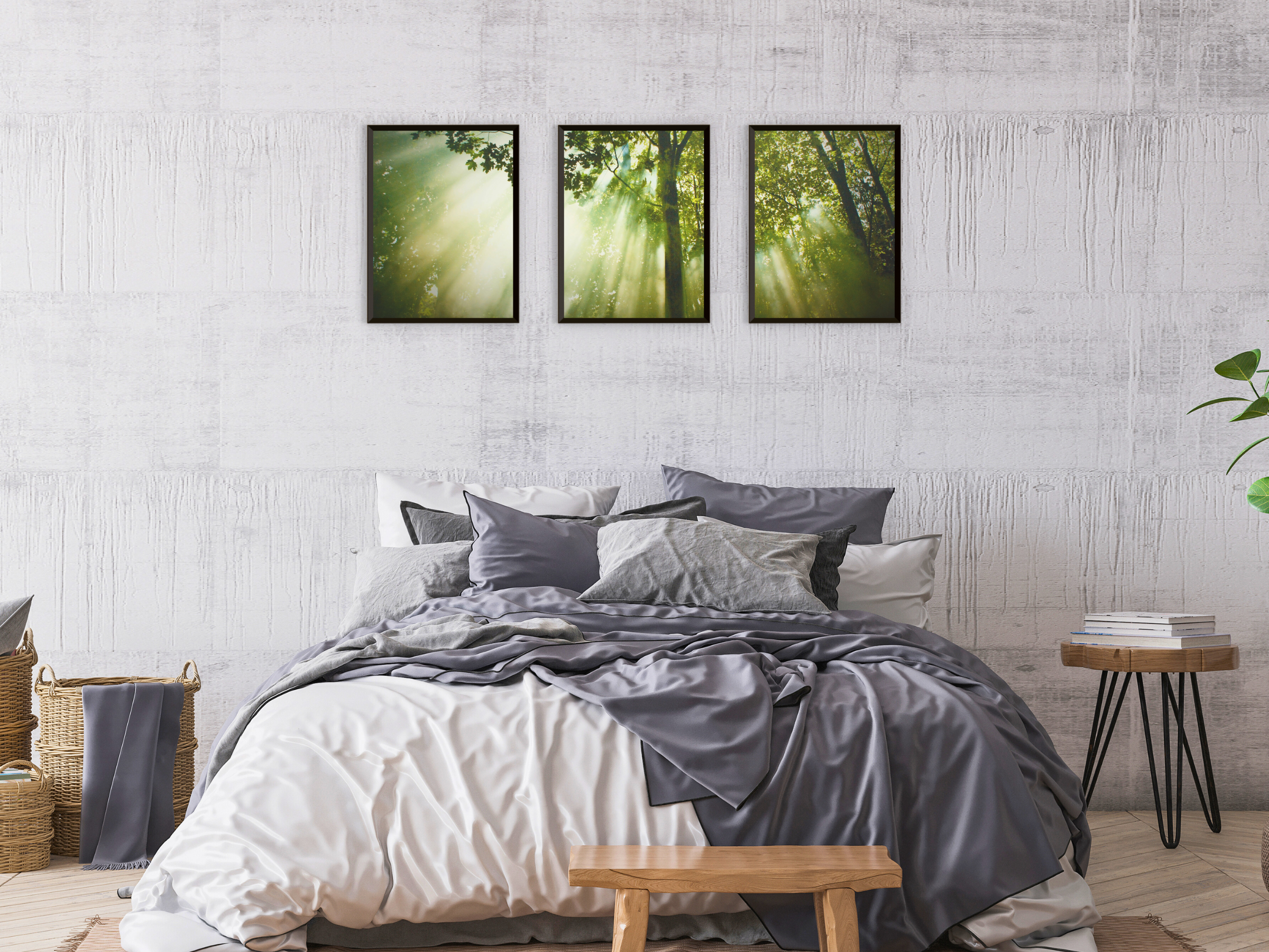 La lumière pénètre la forêt (triptyque photographique)