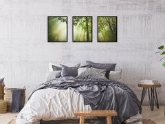 Light Penetrates the Forest-Triptych-Photography